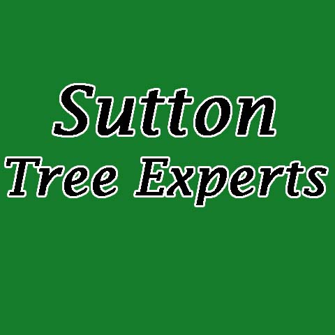 Sutton Tree Experts